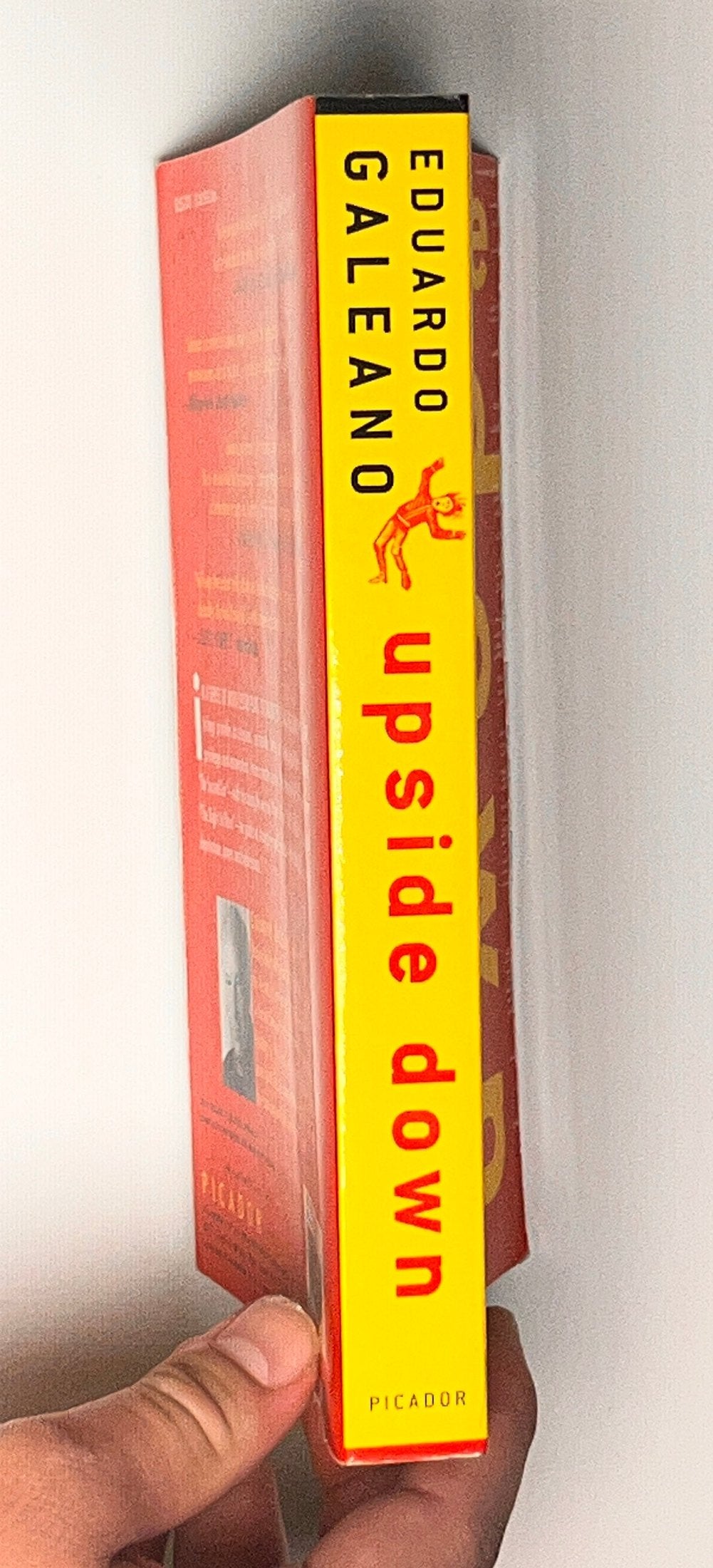 Upside Down: A Primer for the Looking-Glass World