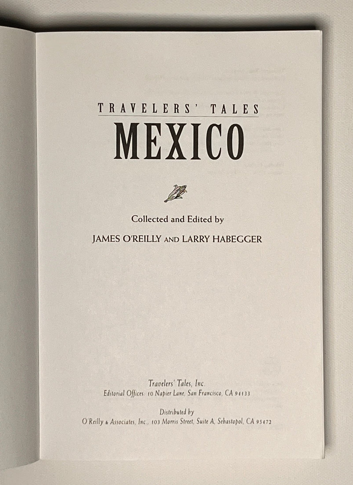 Travelers' Tales Mexico