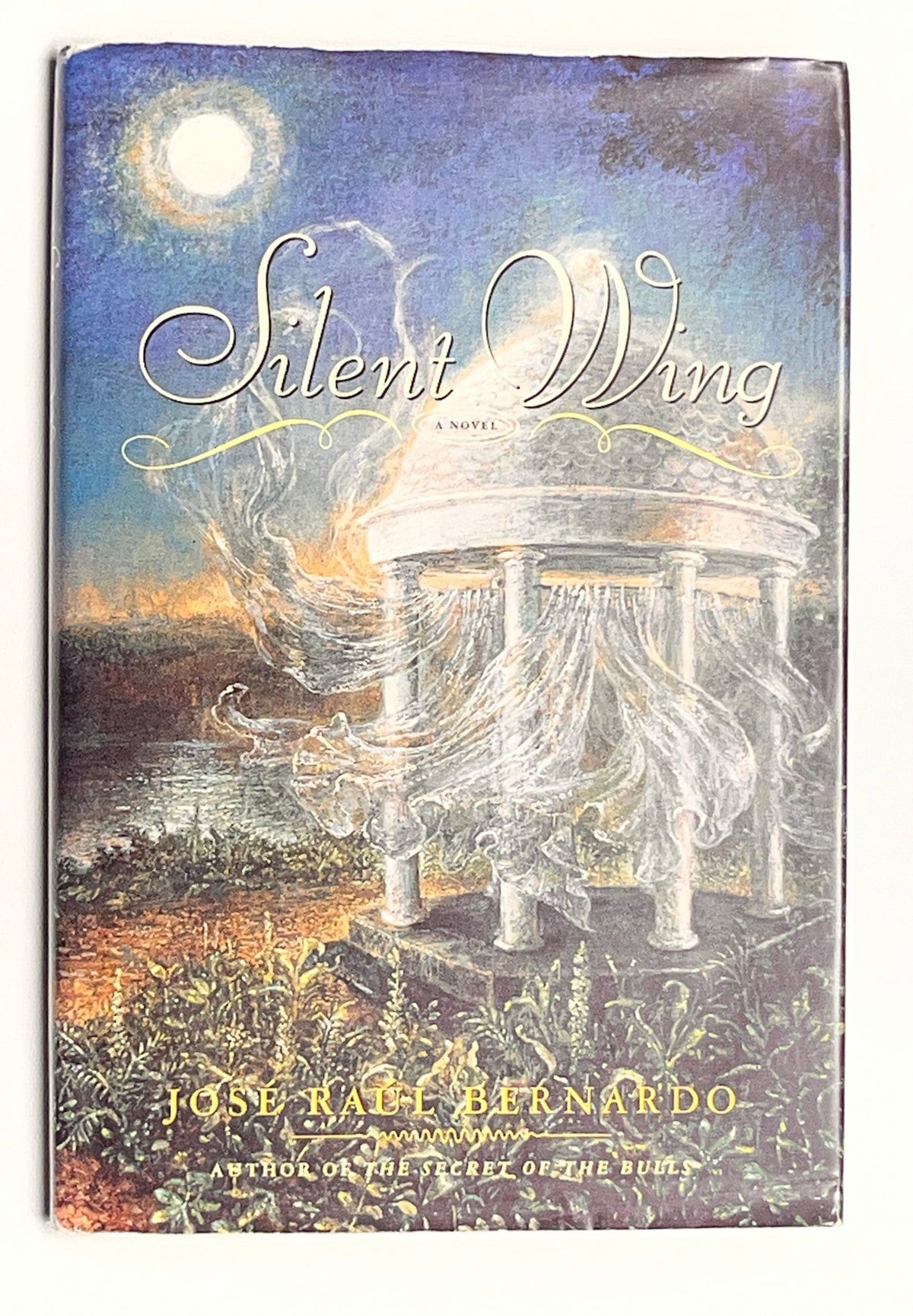 Silent Wing: A Novel