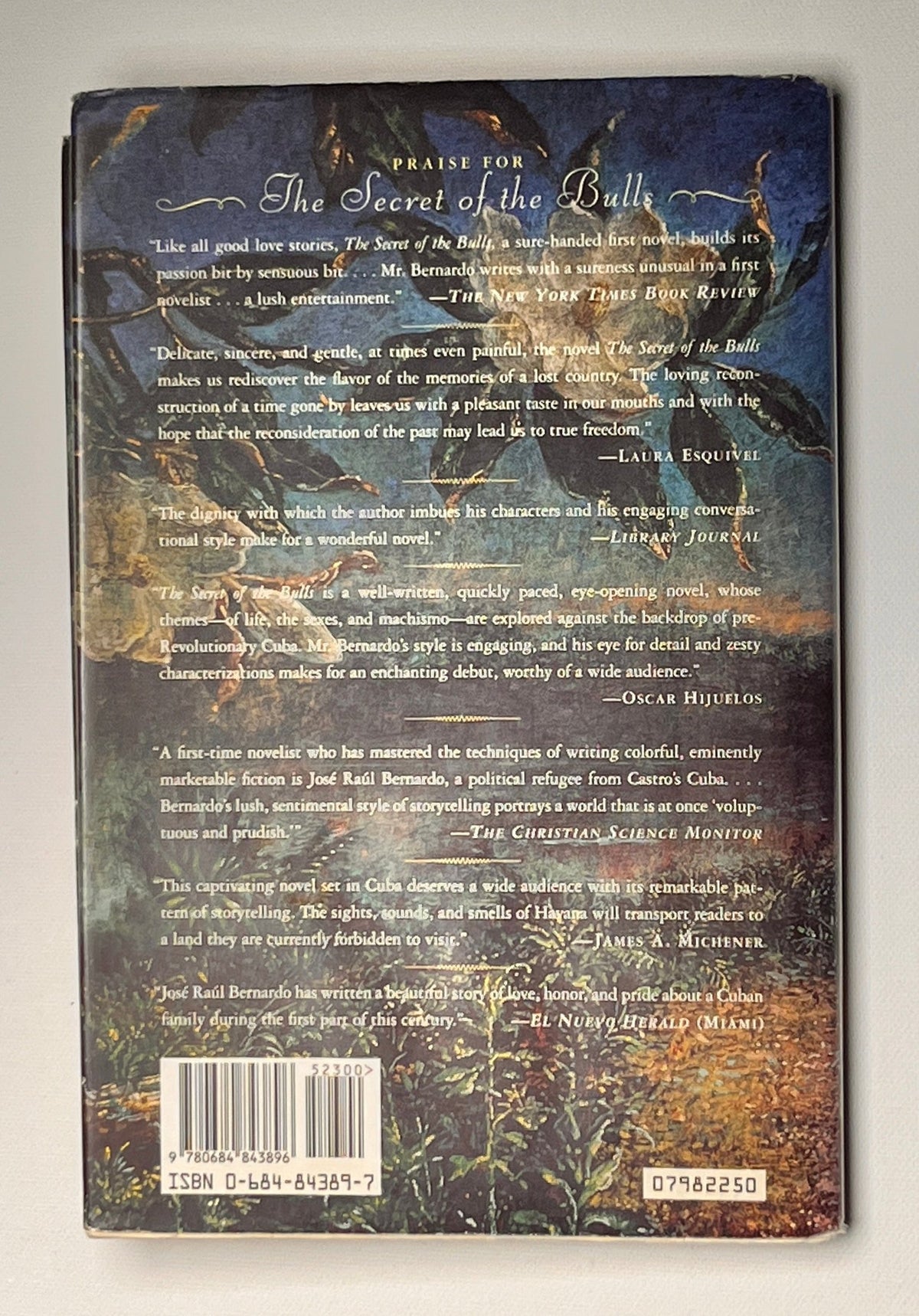 Silent Wing: A Novel