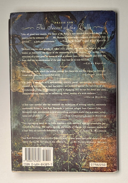 Silent Wing: A Novel