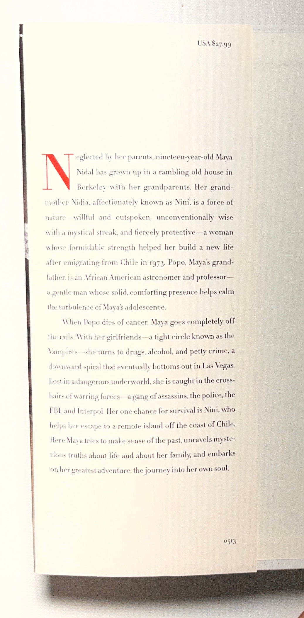 Maya's Notebook: A Novel