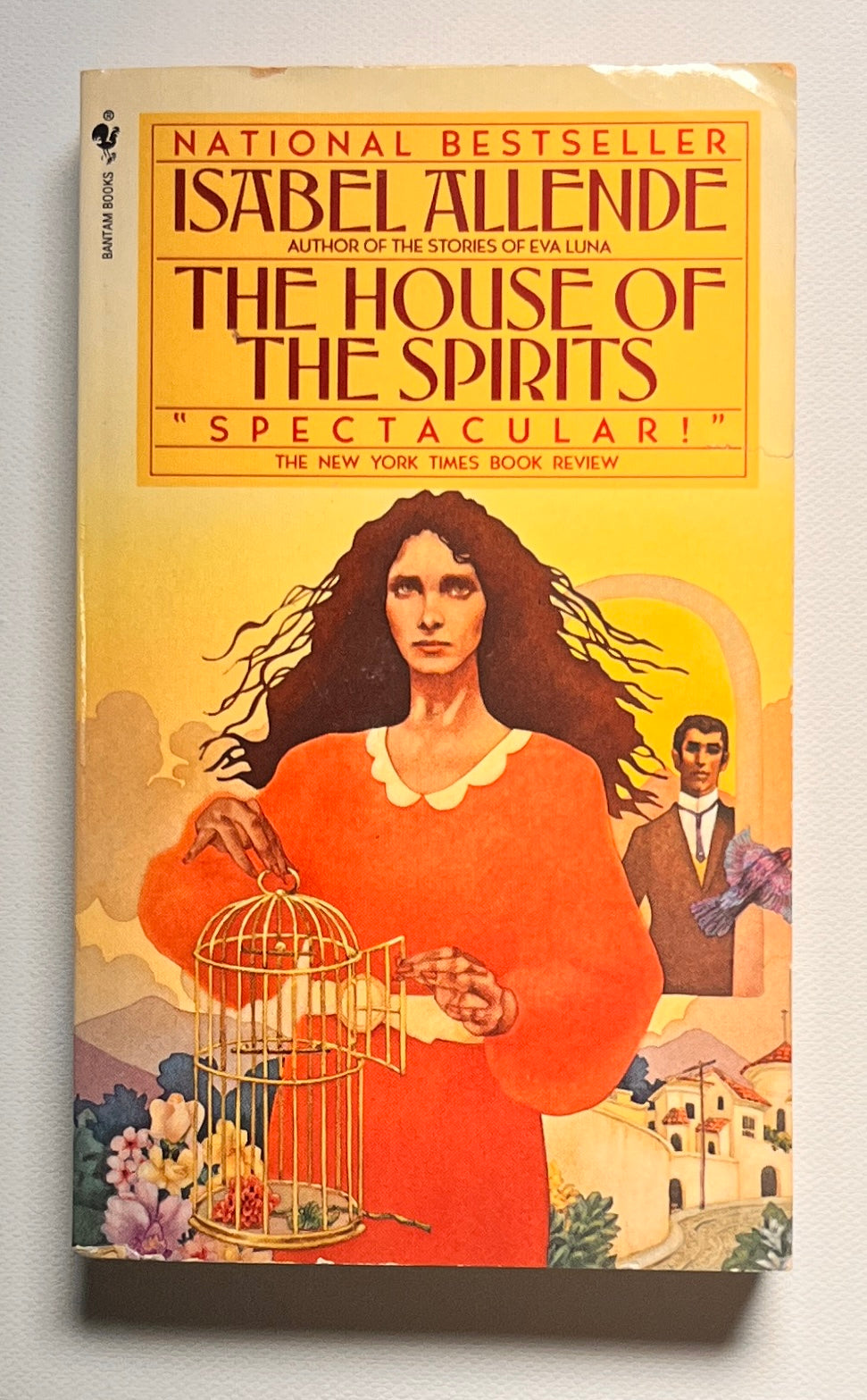 The House of the Spirits