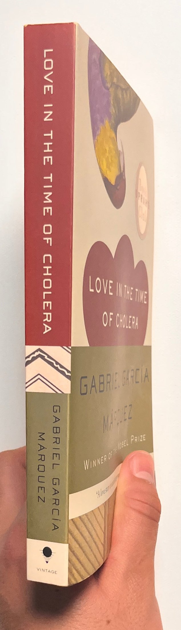 Love in the Time of Cholera