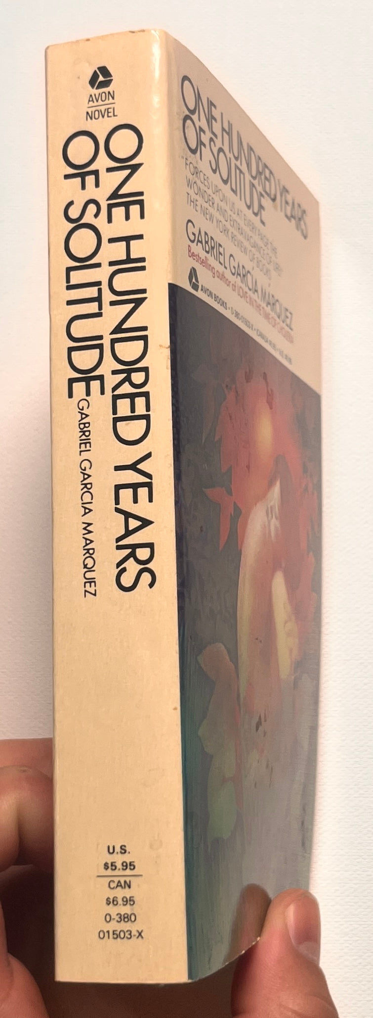 One Hundred Years of Solitude