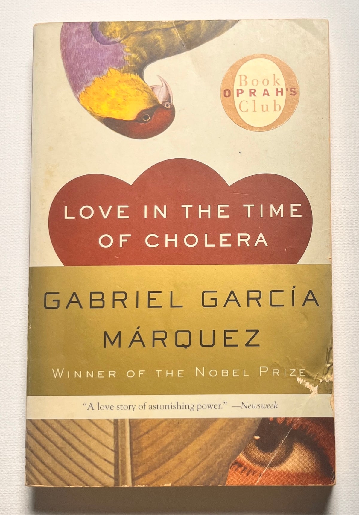 Love in the Time of Cholera